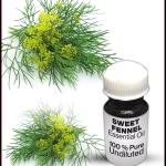 Sweet Fennel Essential Oil