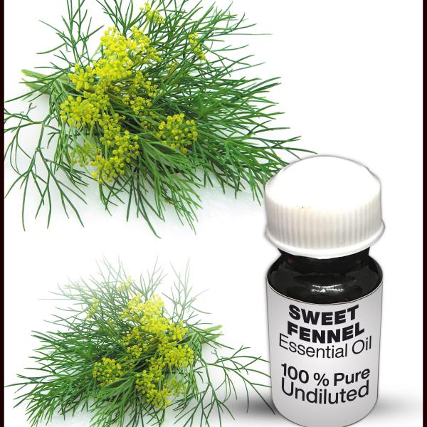 Sweet Fennel Essential Oil
