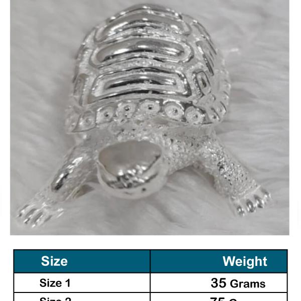 Tortoise In Pure 925 Silver (1)