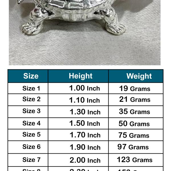 Tortoise In Pure 925 Silver