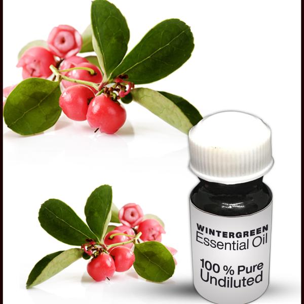 Wintergreen Essential Oil