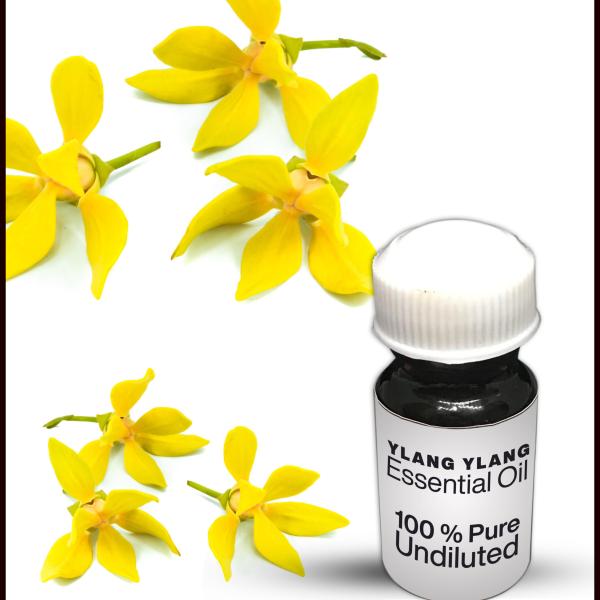 Ylang Ylang Essential Oil